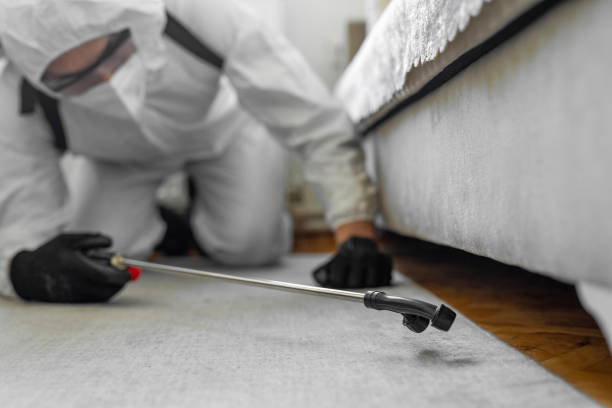 Professional Pest Control technician working in Piute County County, UT